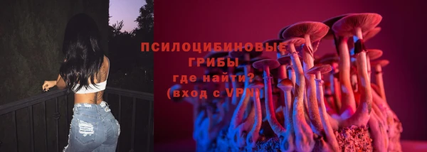 спиды Бородино
