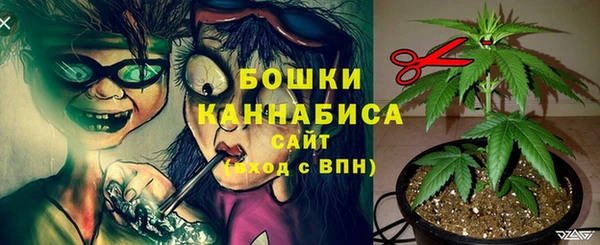 ALPHA PVP Верхний Тагил