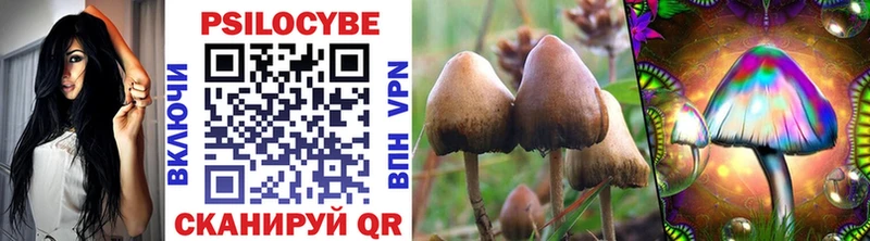 Псилоцибиновые грибы Psilocybe Касли