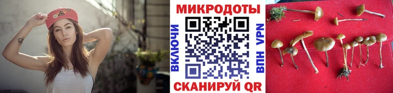закладка  Касли  Галлюциногенные грибы мухоморы 